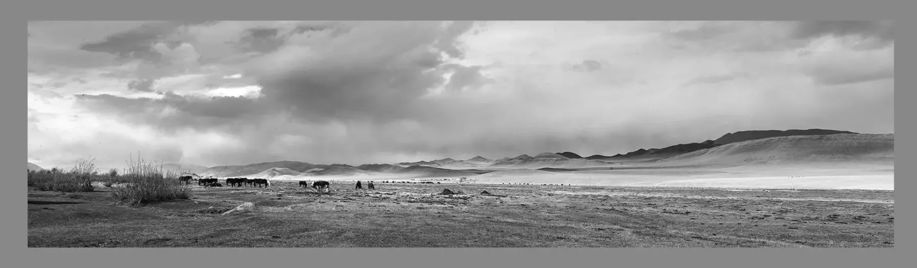 Premium, Luxury, Unique, Original Fine Art Prints of Shop Black and White Megapanoramic Landscape Photos for sale- online gallery in Melbourne Australia - Heart and Soul Whisperer Art gallery by Cosmetic Dentist Dr Zenaidy Castro