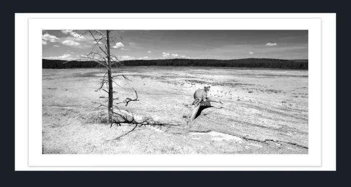 19.5.34-MINIMALISM-Landscape-Black-and-White-Photos-GEYSHER-Yellowstone-L1000451-52-2016