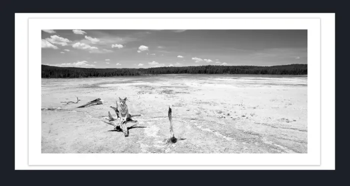 19.5.39-MINIMALISM-Landscape-Black-and-White-Photos-GEYSHER-Yellowstone-L1000455-56-2016