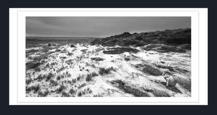 19.5.40-MINIMALISM-Landscape-Black-and-White-Photos-Lake-Eering-Victoria-L1000022-24-2016