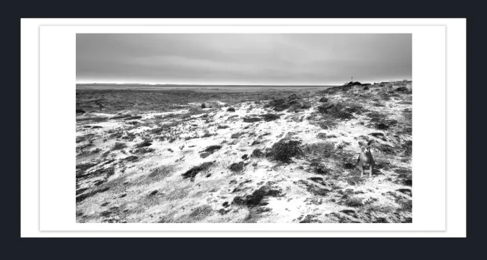 19.5.41-MINIMALISM-Landscape-Black-and-White-Photos-Lake-Eering-Victoria-L1000019-2016