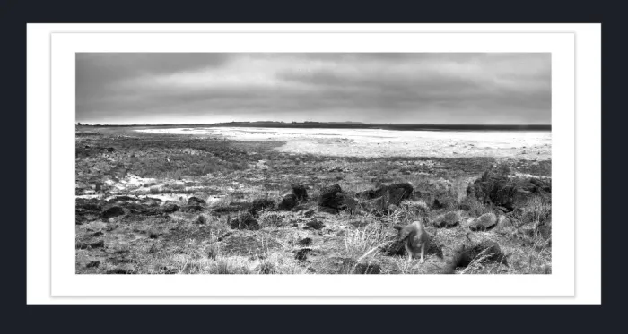 19.5.42-MINIMALISM-Landscape-Black-and-White-Photos-Lake-Eering-Victoria-L1000015-16-2016