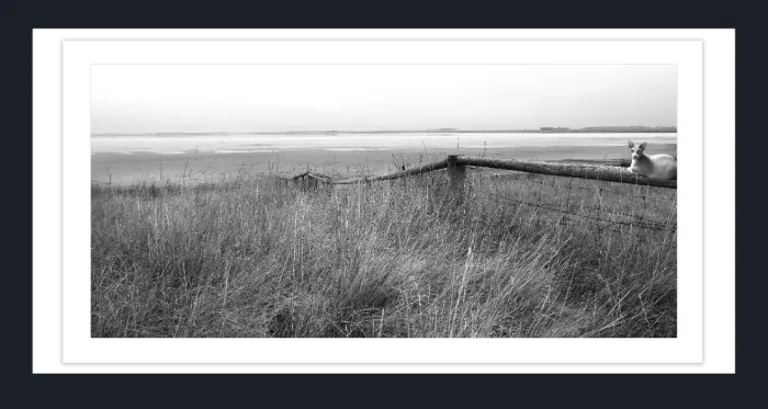 19.5.44-MINIMALISM-Landscape-Black-and-White-Photos-Lake-Eering-Victoria-L1000009-2016