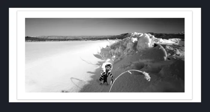 19.5.5-MINIMALISM-Landscape-Black-and-White-Photos-Japan-L1011613-15-2018