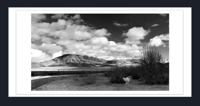 19.5.50-MINIMALISM-Landscape-Black-and-White-Photos-L1006071-Mongolia-2016