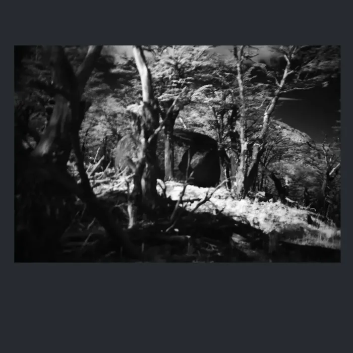 5.4.1-INFRARED-PHOTOS-TREES-AND-WOODLAND-Black-and-White-Victoria-Australia-L1024085-2016
