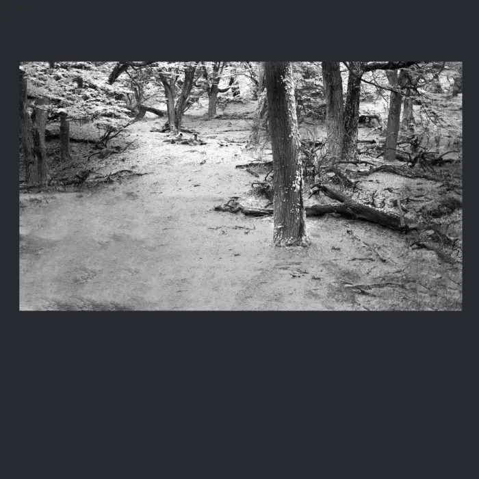5.4.10-INFRARED-PHOTOS-TREES-AND-WOODLAND-Black-and-White-Mirador-del-Torre-trek-in-El-Chalten-Argentina-L1023857-2015