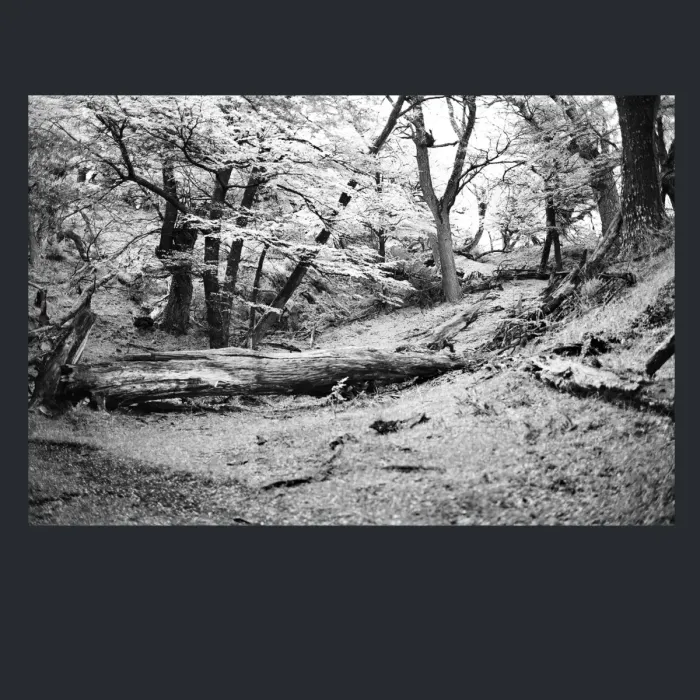 5.4.12-INFRARED-PHOTOS-TREES-AND-WOODLAND-Black-and-White-Mirador-del-Torre-trek-in-El-Chalten-Argentina-L1023867-2015