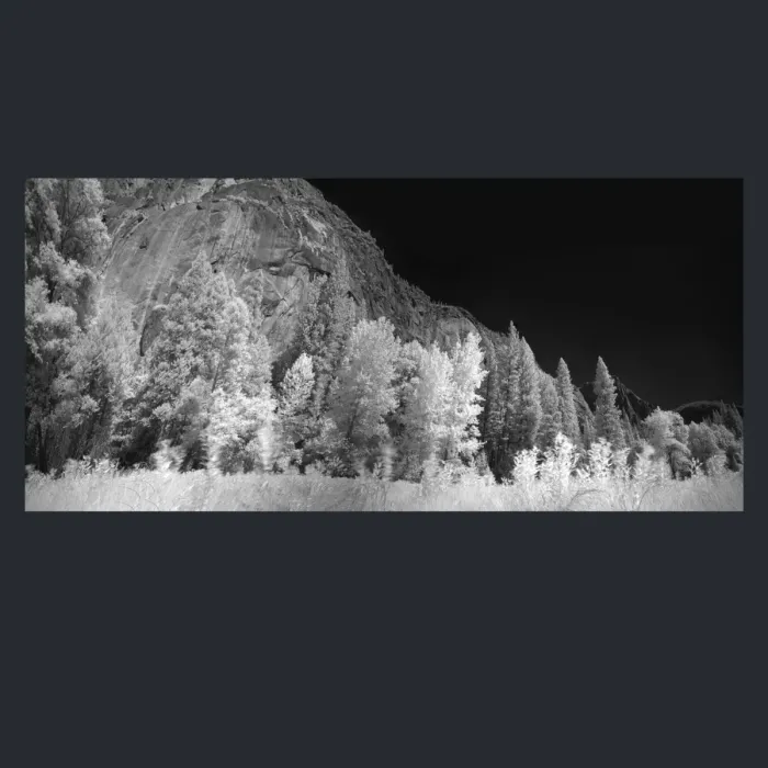 5.4.24-INFRARED-PHOTOS-TREES-AND-WOODLAND-Black-and-White-Yosenite-L1001192-94-2016