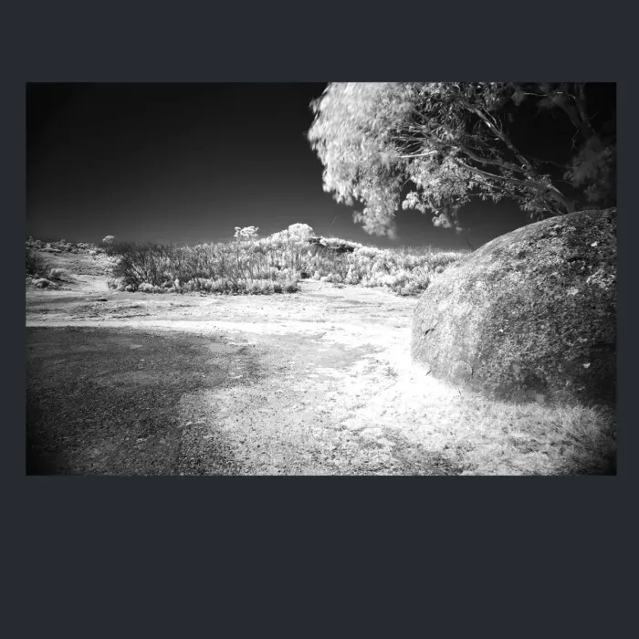 5.4.3-INFRARED-PHOTOS-TREES-AND-WOODLAND-Black-and-White-Victoria-Australia-L1030474-2016