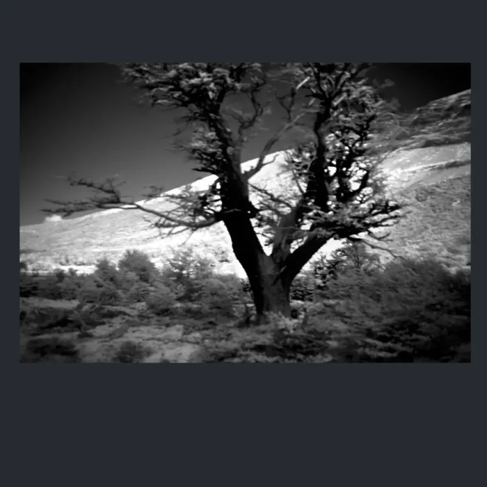 5.4.5-INFRARED-PHOTOS-TREES-AND-WOODLAND-Black-and-White-Mirador-del-Torre-trek-in-El-Chalten-Argentina-L1024051-2015