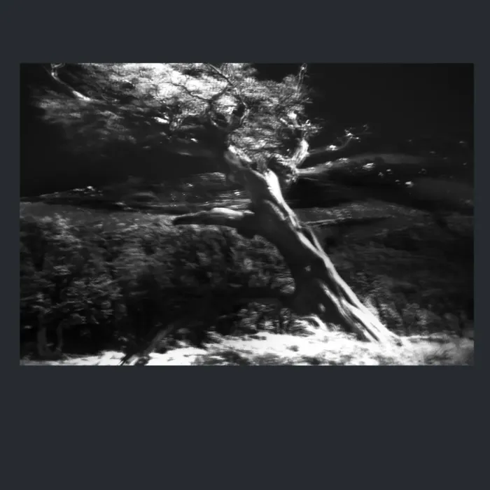 5.4.6-INFRARED-PHOTOS-TREES-AND-WOODLAND-Black-and-White-Mirador-del-Torre-trek-in-El-Chalten-Argentina-L1024068-2015