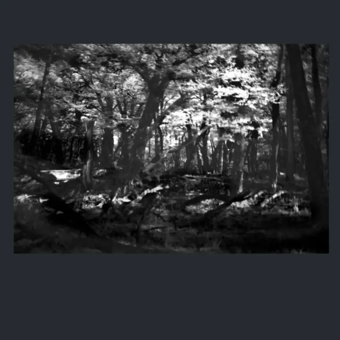 5.4.7-INFRARED-PHOTOS-TREES-AND-WOODLAND-Black-and-White-Mirador-del-Torre-trek-in-El-Chalten-Argentina-L1024072-2015
