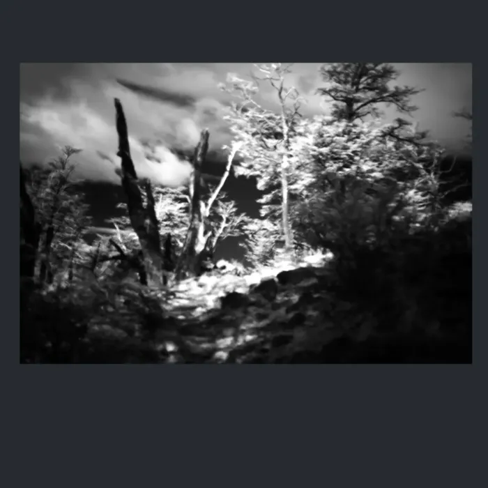 5.4.8-INFRARED-PHOTOS-TREES-AND-WOODLAND-Black-and-White-Mirador-del-Torre-trek-in-El-Chalten-Argentina-L1024084-2015