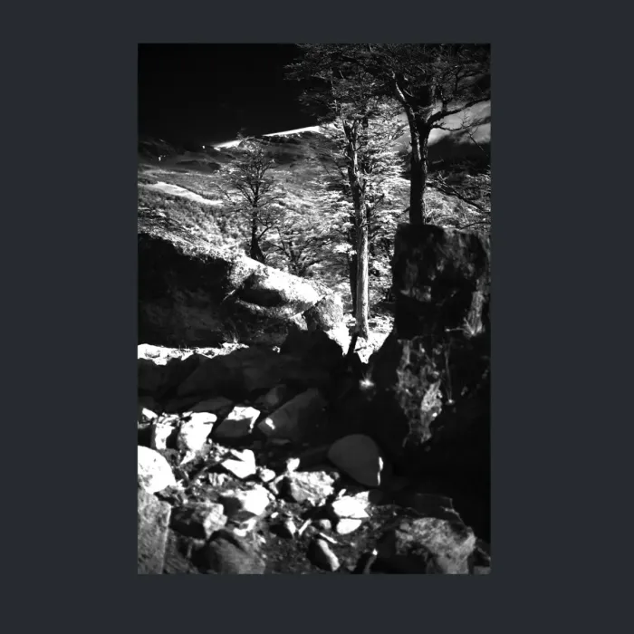 5.4.9-INFRARED-PHOTOS-TREES-AND-WOODLAND-Black-and-White-Mirador-del-Torre-trek-in-El-Chalten-Argentina-L1024110-2015