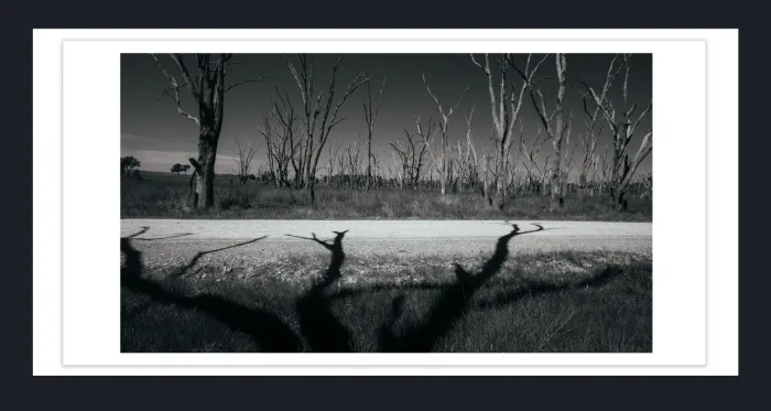 18F-16-DRAMATIC-BLACK-AND-WHITE-LANDSCAPE-IN-FILM-LOOK-PHOTOGRAPHS-FOR-SALE-L1030190-Benalla-2015