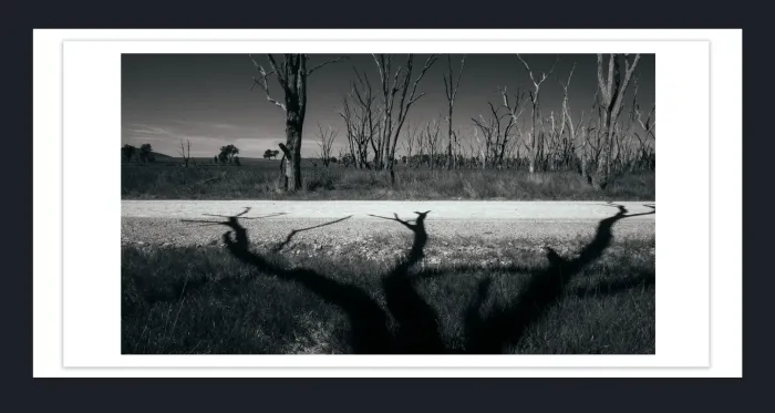 18F-17-DRAMATIC-BLACK-AND-WHITE-LANDSCAPE-IN-FILM-LOOK-PHOTOGRAPHS-FOR-SALE-L1030191-Benalla-2015