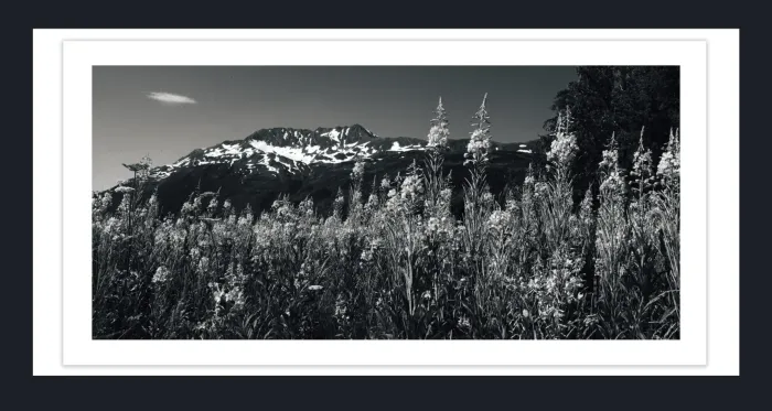 18F-23-DRAMATIC-BLACK-AND-WHITE-LANDSCAPE-IN-FILM-LOOK-PHOTOGRAPHS-FOR-SALE-L1003860-Alaska-2016