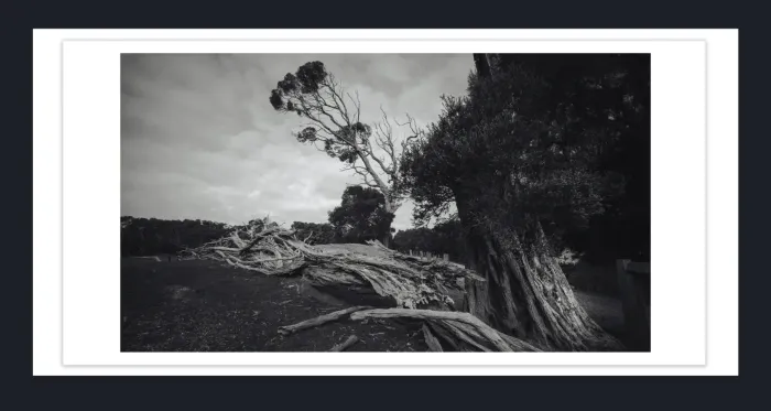 18F-25-DRAMATIC-BLACK-AND-WHITE-LANDSCAPE-IN-FILM-LOOK-PHOTOGRAPHS-FOR-SALE-L1028347-VIC-2015