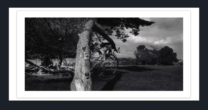 18F-26-DRAMATIC-BLACK-AND-WHITE-LANDSCAPE-IN-FILM-LOOK-PHOTOGRAPHS-FOR-SALE-L1028229-VIC-2015
