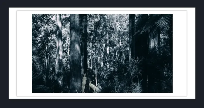 18F-27-DRAMATIC-BLACK-AND-WHITE-LANDSCAPE-IN-FILM-LOOK-PHOTOGRAPHS-FOR-SALE-L1017914-VIC-2015