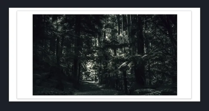 18F-28-DRAMATIC-BLACK-AND-WHITE-LANDSCAPE-IN-FILM-LOOK-PHOTOGRAPHS-FOR-SALE-L1017917-VIC-2019