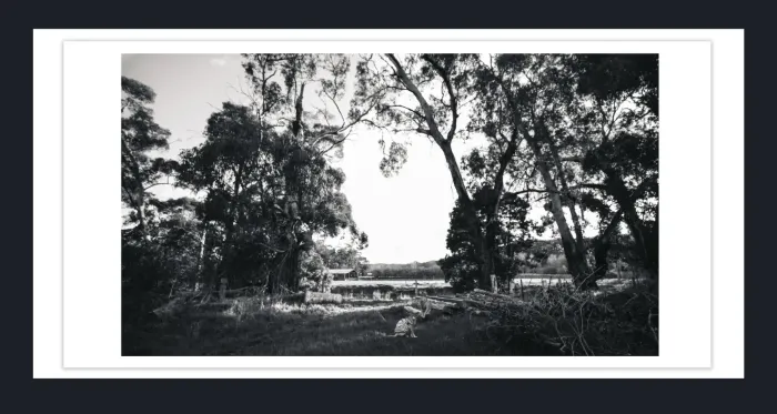 18F-35-Classicprint-35mm-Film-Emulation-Black-and-White-Landscape-Photos-for-sale-L1029924-VIC-2015