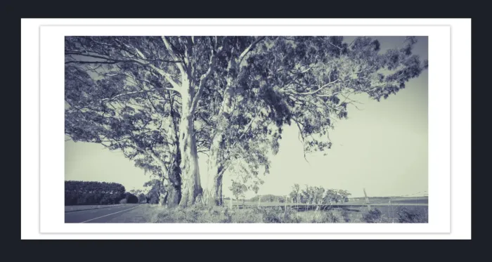 18F-37-Classicprint-35mm-Film-Emulation-Black-and-White-Landscape-Photos-for-sale-L1029940-VIC-2015