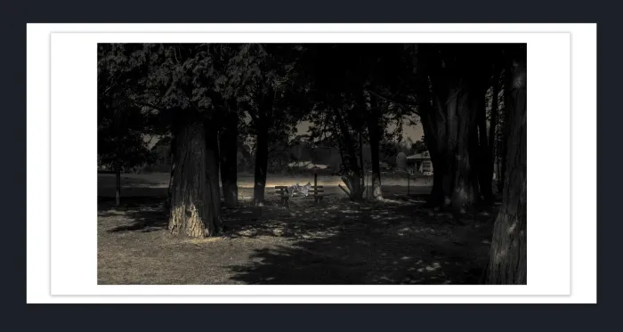 18F-40-Classicprint-35mm-Film-Emulation-Black-and-White-Landscape-Photos-for-sale-L1029676-Trentham-VIC-2015