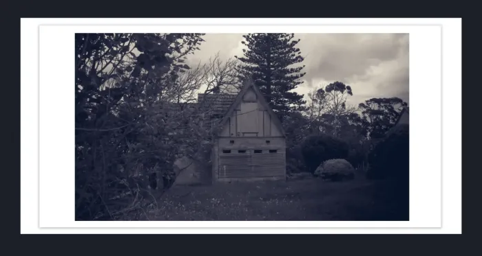 18E-27-RETRO-VINTAGE-FILM-PHOTO-EFFFECT-BLACK-AND-WHITE-PHOTOS-L1017451-Coal-Creek-Korumbura-2019