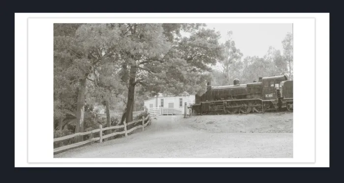 18E-29-RETRO-VINTAGE-FILM-PHOTO-EFFFECT-BLACK-AND-WHITE-PHOTOS-L1017522-Coal-Creek-Korumbura-2019