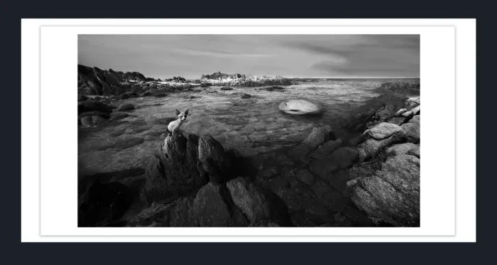 11.-140-Premium-Fine-Art-Photograps-for-sale-Fine-Art-Black-White-Photography-for-sale-Online-20.26B-48-L1018233-37-