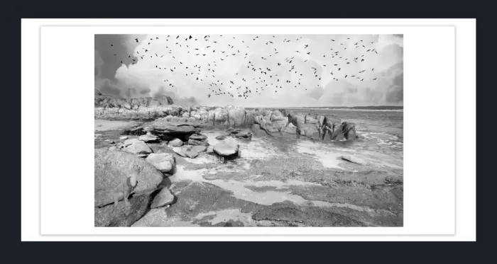 11.-143-Fine-Art-Collectors-Photographs-for-sale-Fine-Art-Black-and-White-Photography-Prints-in-limited-edition-for-Sale-20.26B-51-L1018253-56-