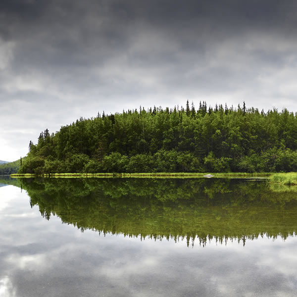 Life Reflected in Water, Reflection of Life in Water, Reflection of Life in Water, Discover Wonder through Water