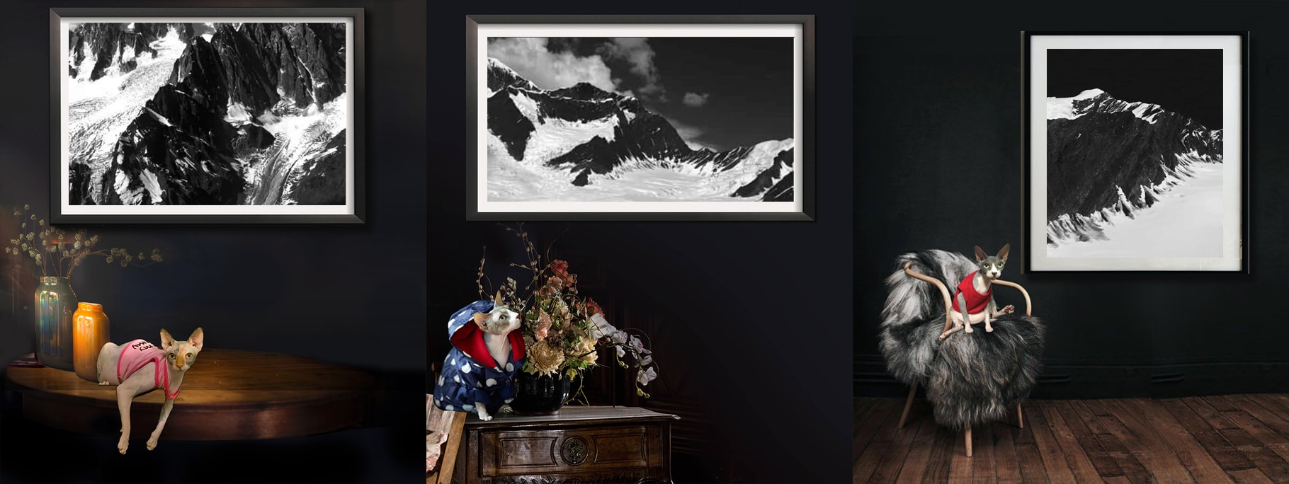 Curated Black and White Photography by Dr Zenaidy Castro (1)