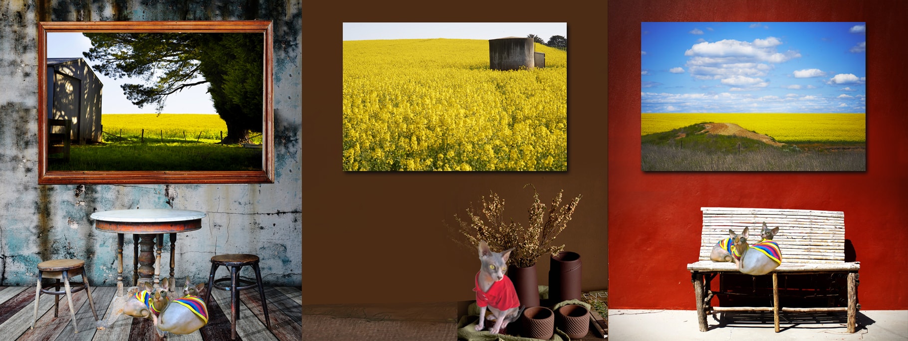 Black and White Country Scene Landscape - Simple Life