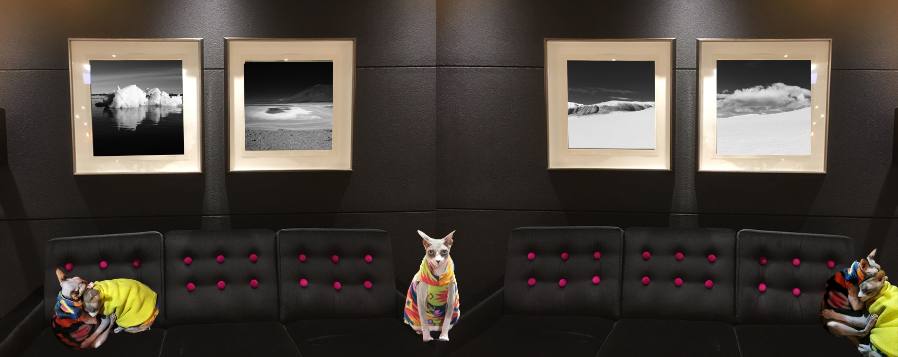 Luxury Fine Art Photography Prints- Landscapes & Animals