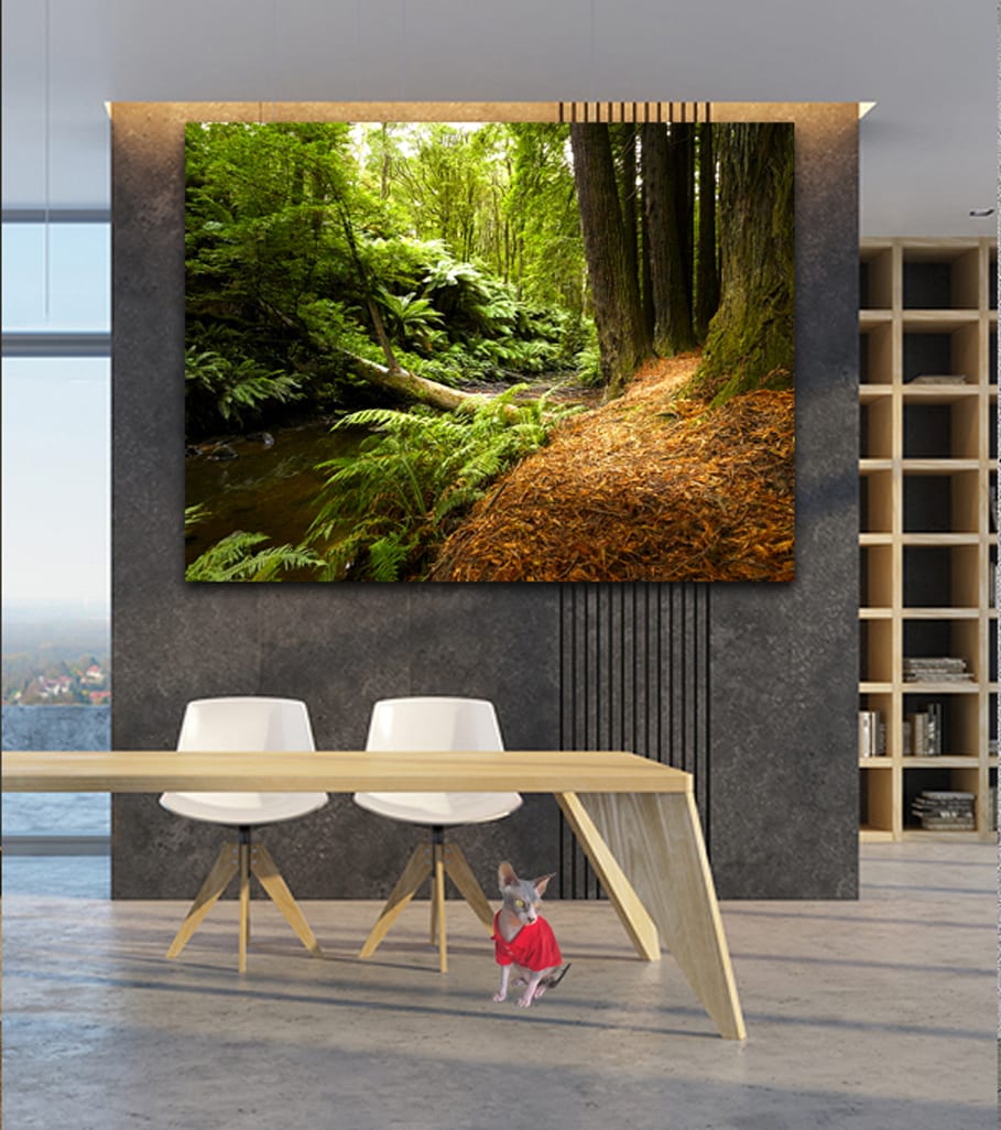 Let your healing spaces speak of comfort, compassion, and strength. Discover artworks from our Healthcare Art Collection, designed to uplift every heart. 