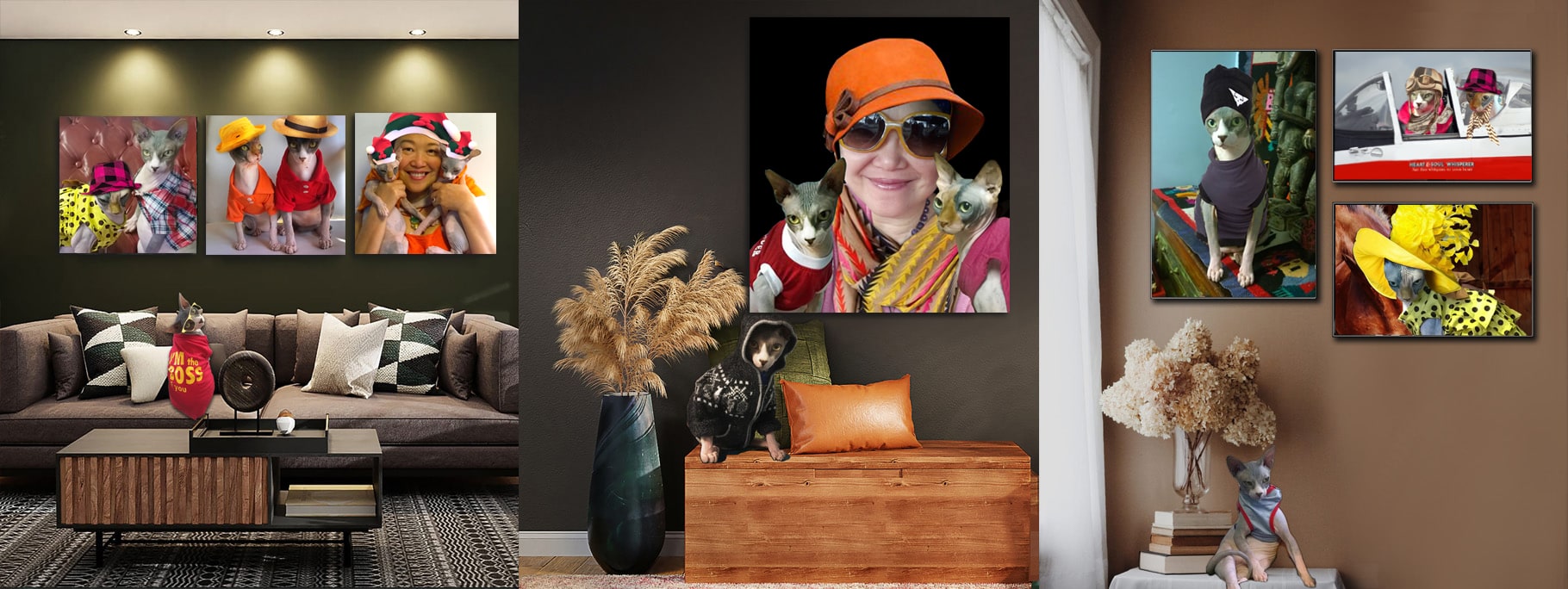 Hairless Cats Sphynx Cats Pet Portraits photos for sale. Cute Hairless Cats Photography by Dr Zenaidy Castro. Fine Art Sphynx Cats Photography by Dr Zenaidy Castro