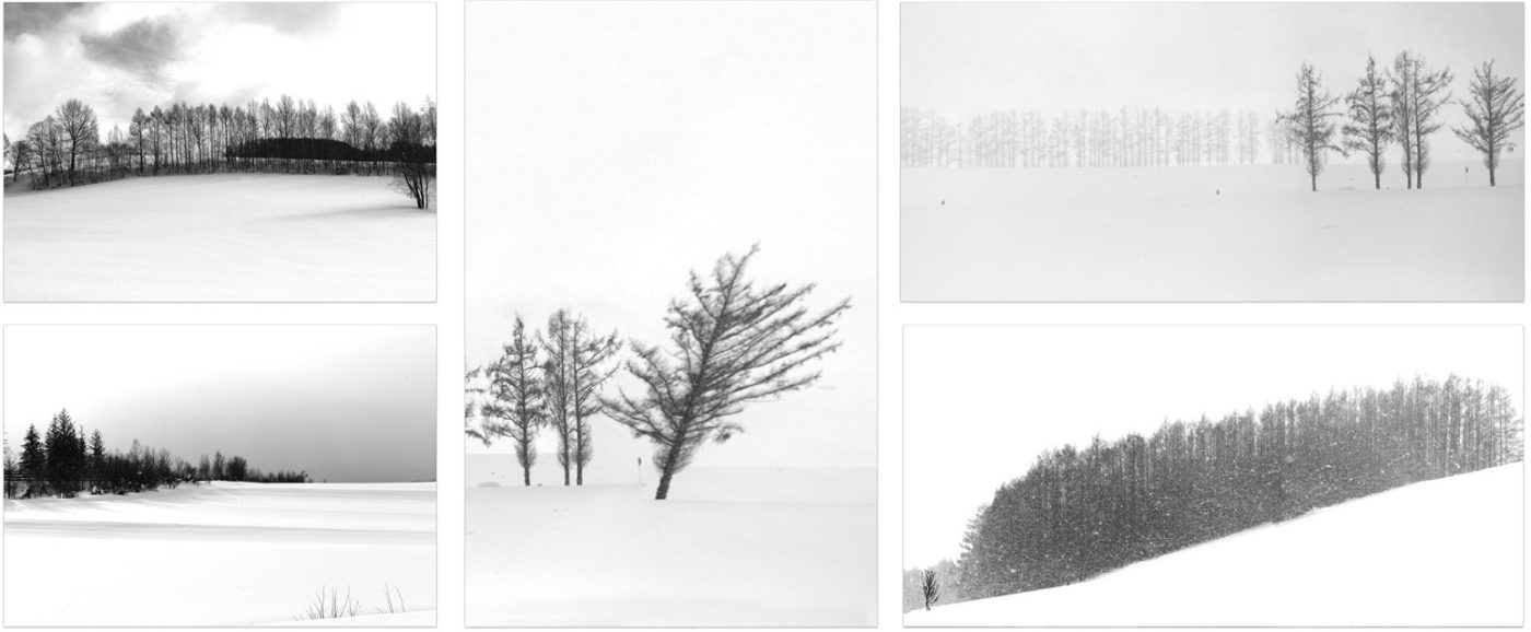 BLACK-AND-WHITE-FINE-ART-PHOTOGRAPHS-FOR-SALE-4-1-q6qmtbnvczg5no7ei60tie6oyxp036zkmm8pz07lhw