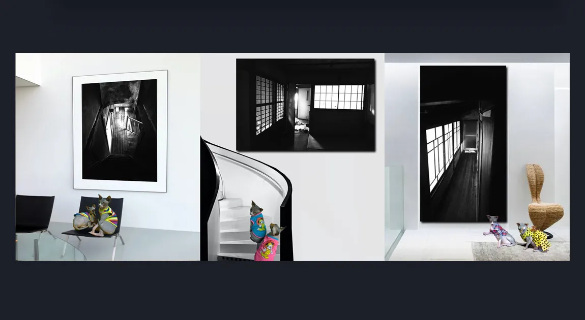 Popular Art Collector's Favourites: Best Selling Original Black and White Photography For Sale by famous Melbourne Artist and Photographer