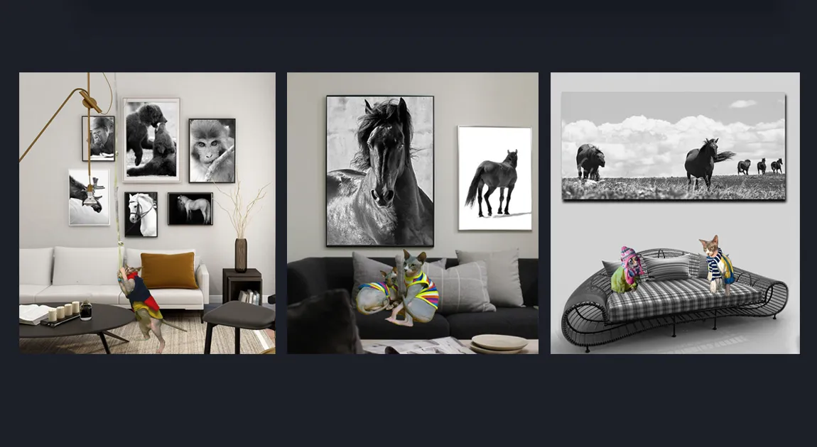 Premium Black and White Fine Art Animal Photography For Sale by Cosmetic Dentist in Melbourne Dr Zenaidy Castro