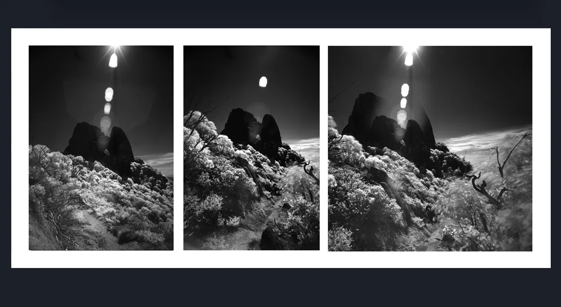 Premium, Luxury, Unique, Original Fine Art Prints Black and White Infrared Landscapes Photos for sale- online gallery in Melbourne Australia - Heart and Soul Whisperer Art gallery by Cosmetic Dentist Dr Zenaidy Castro