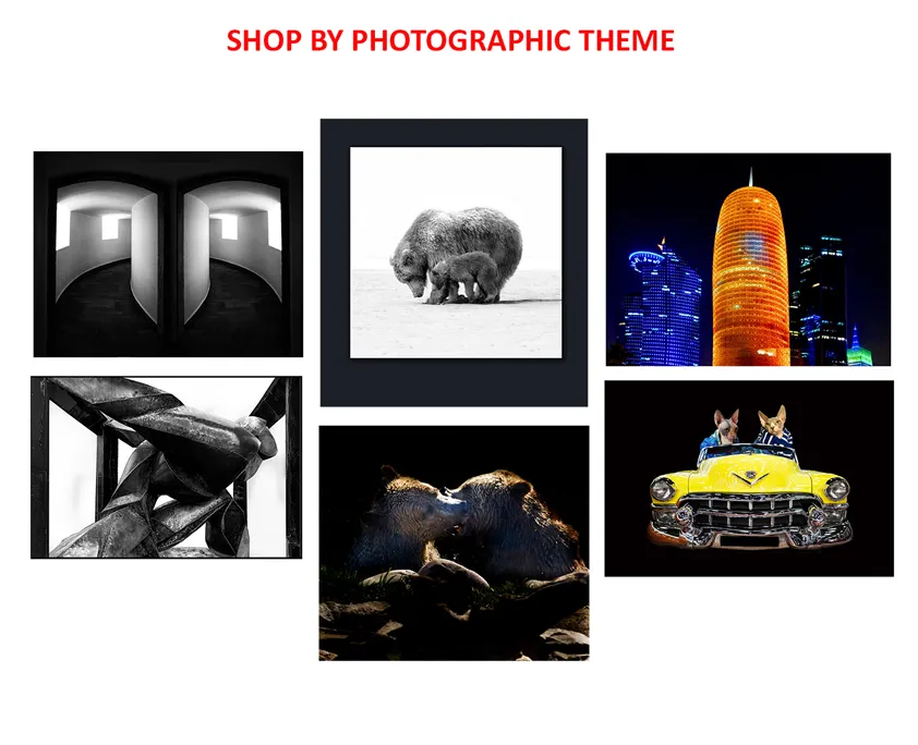 Limited Edition Black and White Photography prints for sale - Online art Gallery