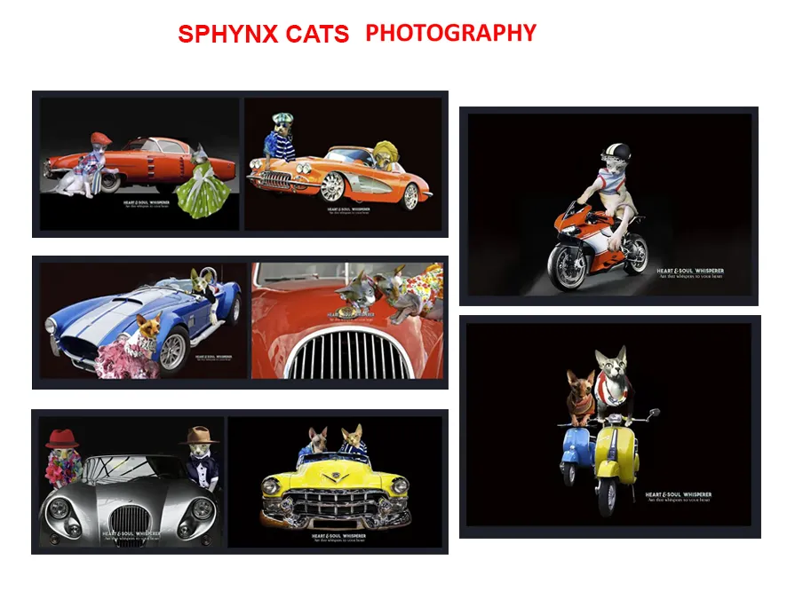 Limited Edition Black and White Photography prints for sale - Online art Gallery