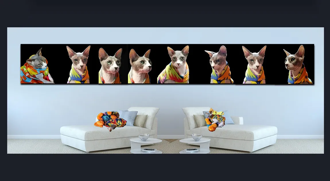Premium SPHYNX CATS Photography For Sale by Cosmetic Dentist in Melbourne Dr Zenaidy Castro