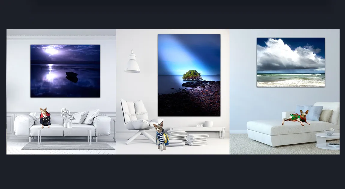 Popular Art Collector's Favourites: Best Selling Original Black and White Photography For Sale by famous Melbourne Artist and Photographer