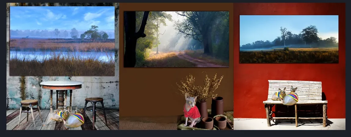 Premium, Luxury, Unique, Original Fine Art Prints of Black and White Cabin Life and Shack Photos for sale- online gallery in Melbourne Australia - Heart and Soul Whisperer Art gallery by Cosmetic Dentist Dr Zenaidy Castro