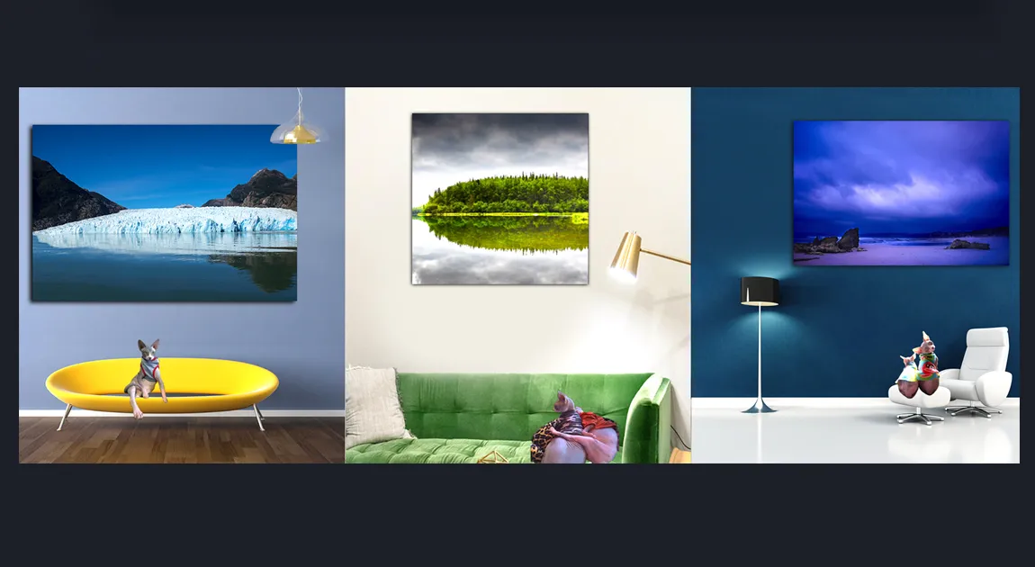Popular Art Collector's Favourites: Best Selling Original Black and White Photography For Sale by famous Melbourne Artist and Photographer