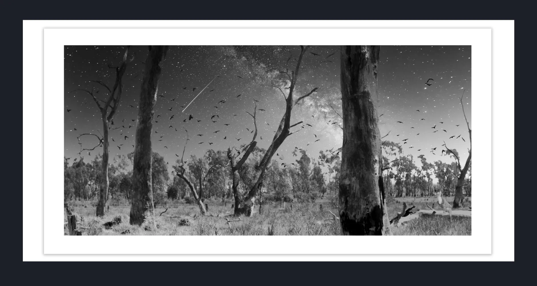 IMMORTALIZE YOUR PETS THROUGH ARTS